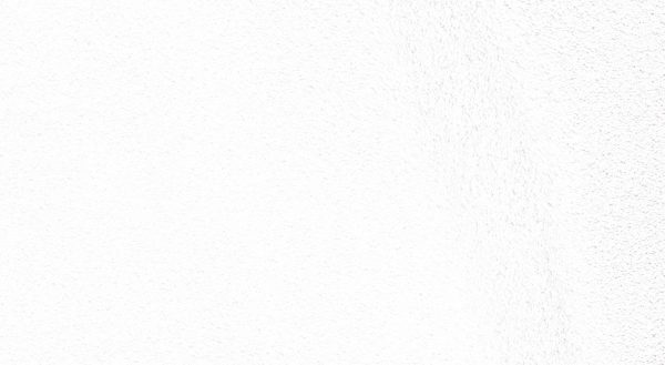 EXTERIOR PAINT WHITE